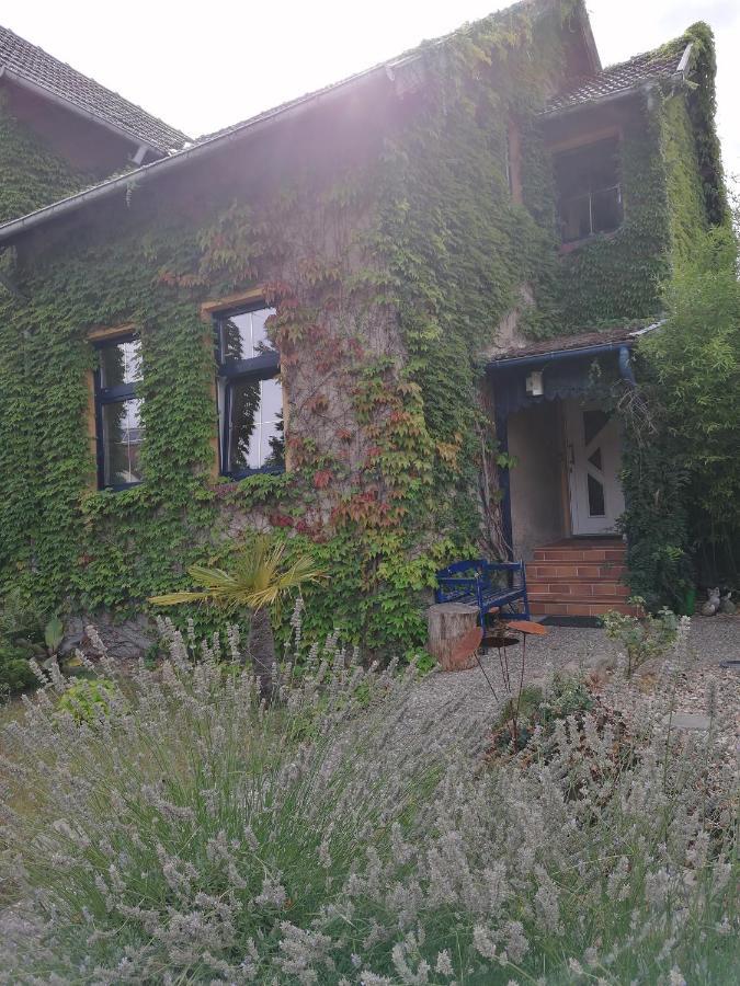 Yourhome-Pm Michendorf Bagian luar foto